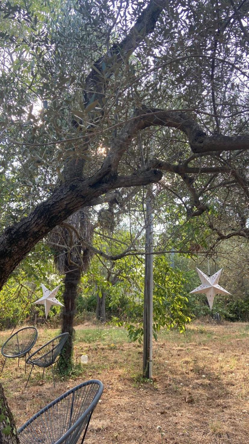 Bolsena Cento20 - Rooms & Relax Экстерьер фото